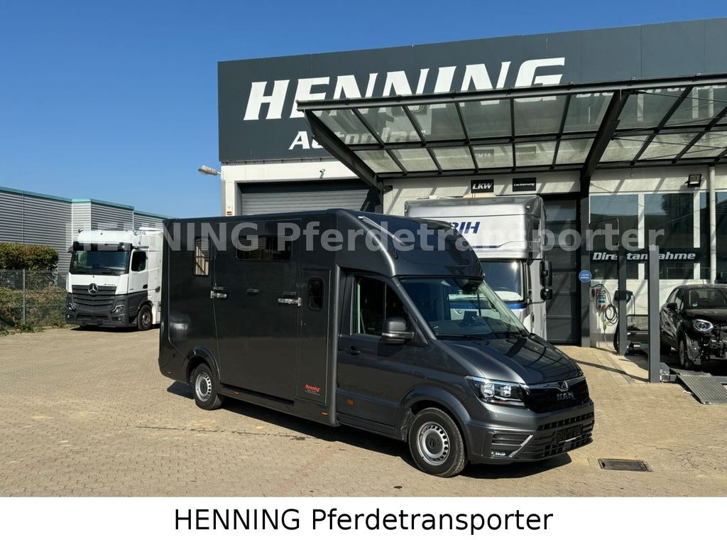 MAN TGE 3 - Sitzer *AUFBAU NEU* *SOZIALRAUM* - Horse truck: picture 1 MAN TGE 3 - Sitzer *AUFBAU NEU* *SOZIALRAUM* - Horse truck: picture 1