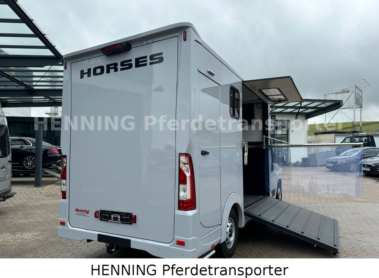 Livestock truck Peugeot Boxer 3 - Sitzer *GROSSE SATTELKAMMER*: picture 14