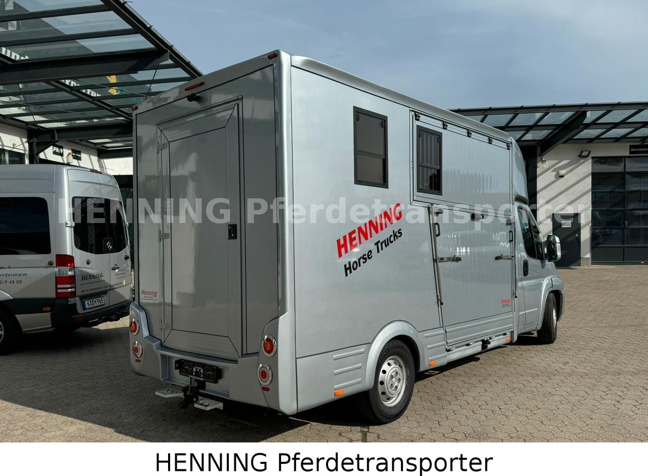 Peugeot Boxer 3 - Sitzer - Livestock truck: picture 2 Peugeot Boxer 3 - Sitzer - Livestock truck: picture 2