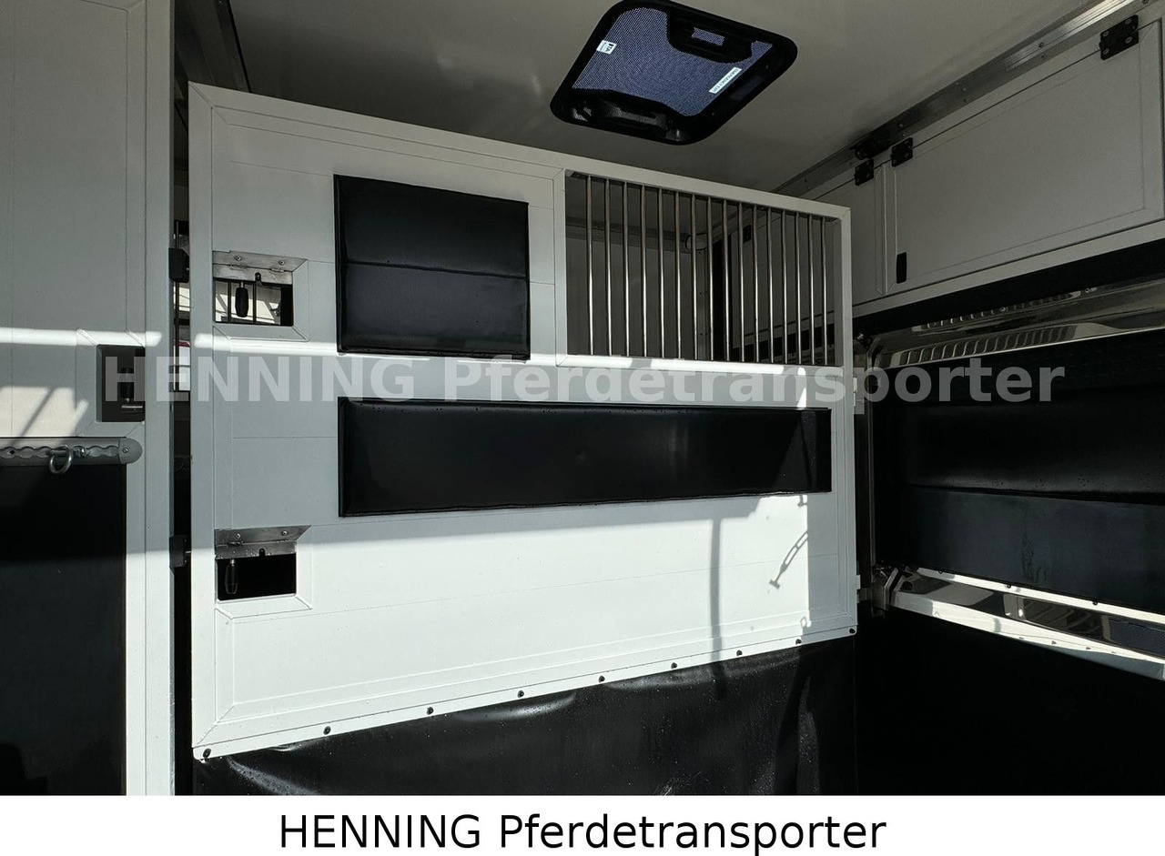 Peugeot Boxer 3 - Sitzer - Livestock truck: picture 4 Peugeot Boxer 3 - Sitzer - Livestock truck: picture 4