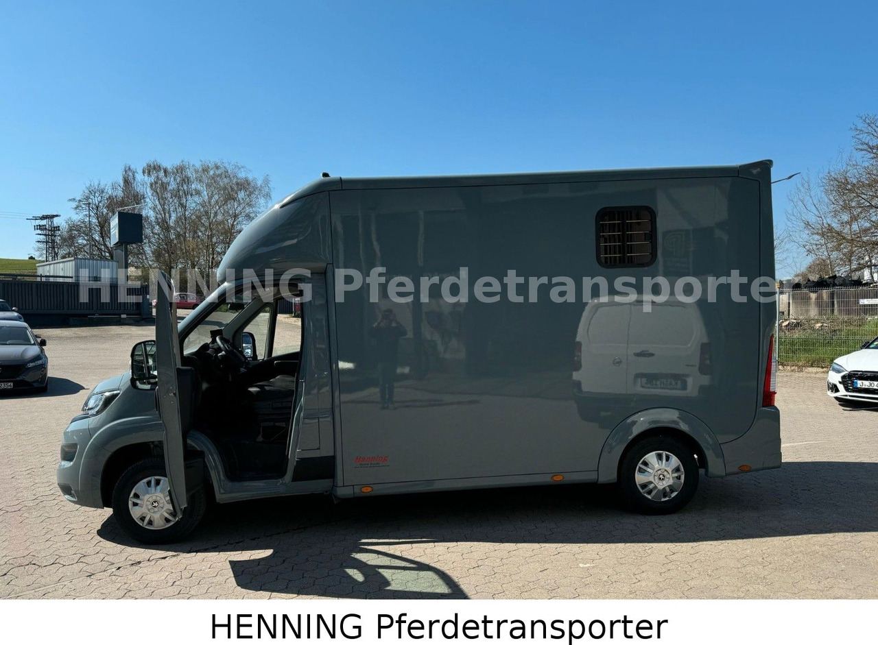 Horse truck Peugeot Boxer 3-Sitzer *NEUWAGEN* 1000 KG NUTZLAST: picture 13