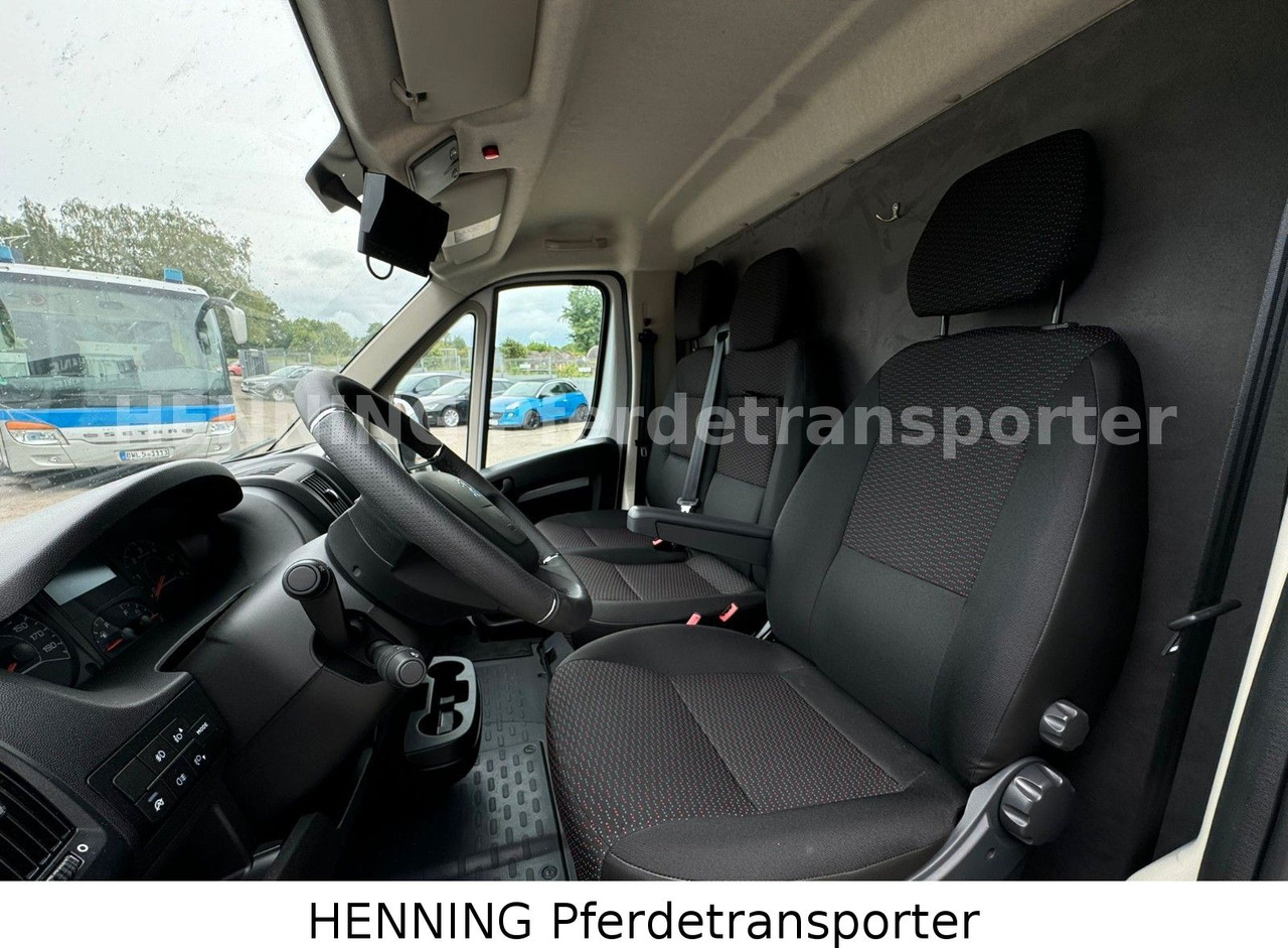 Livestock truck Peugeot Boxer *NEUWAGEN* ca. 1.200kg Nutzlast: picture 14