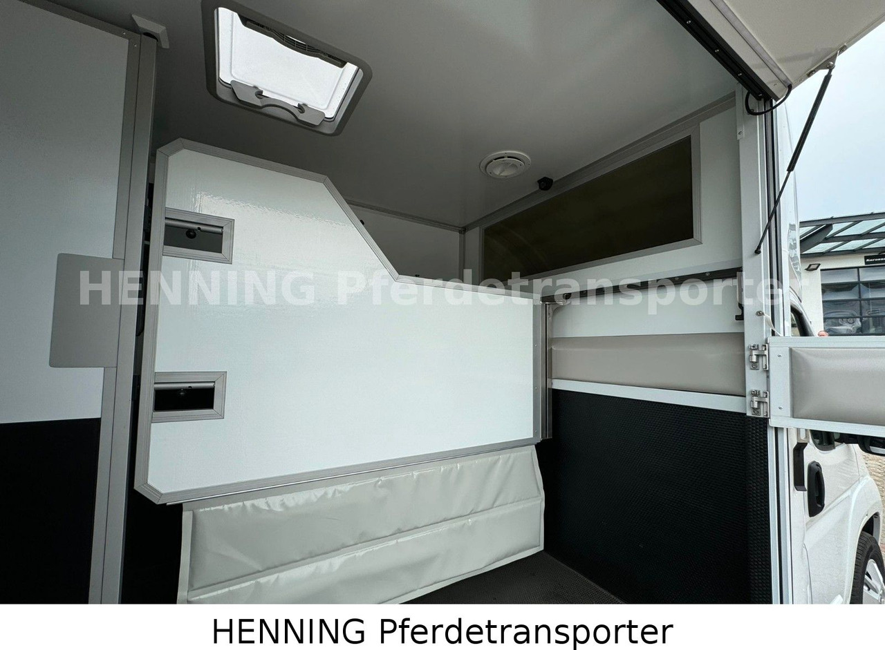 Livestock truck Peugeot Boxer *NEUWAGEN* ca. 1.200kg Nutzlast: picture 6