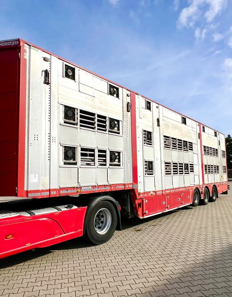 Pezzaioli NACZEPA  2017 / 3 POZIOMY / TRANSPORT ZWIERZĄT / HYDRAULIKA / STEROWANIE PILOTEM/ PODNOSZONY DACH / - Livestock semi-trailer: picture 2 Pezzaioli NACZEPA  2017 / 3 POZIOMY / TRANSPORT ZWIERZĄT / HYDRAULIKA / STEROWANIE PILOTEM/ PODNOSZONY DACH / - Livestock semi-trailer: picture 2