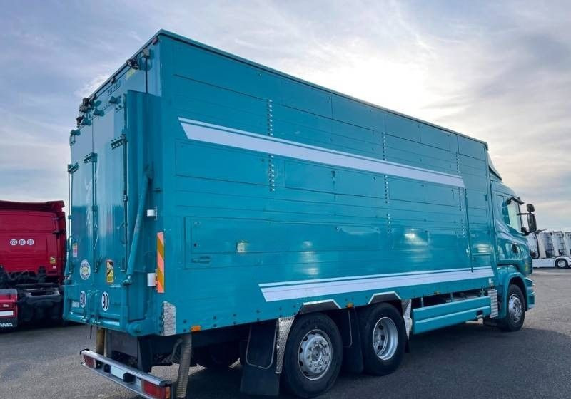 Scania R380 / 6x2 / Pezzaioli / 2-poziomowa zabudowa do przewozu zwierząt / Euro 3 / oś podnoszona / podnoszony dach - Livestock truck: picture 2 Scania R380 / 6x2 / Pezzaioli / 2-poziomowa zabudowa do przewozu zwierząt / Euro 3 / oś podnoszona / podnoszony dach - Livestock truck: picture 2