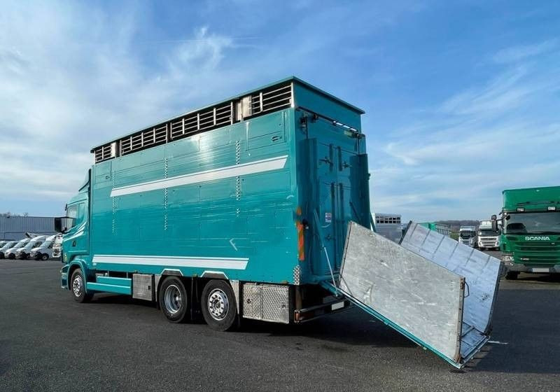 Scania R380 / 6x2 / Pezzaioli / 2-poziomowa zabudowa do przewozu zwierząt / Euro 3 / oś podnoszona / podnoszony dach - Livestock truck: picture 3 Scania R380 / 6x2 / Pezzaioli / 2-poziomowa zabudowa do przewozu zwierząt / Euro 3 / oś podnoszona / podnoszony dach - Livestock truck: picture 3