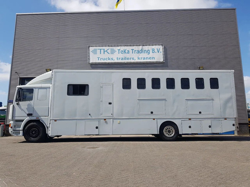 DAF 95.350 Paardenwagen met zitverblijf 7 paarden 7 horses - Horse truck: picture 3 DAF 95.350 Paardenwagen met zitverblijf 7 paarden 7 horses - Horse truck: picture 3