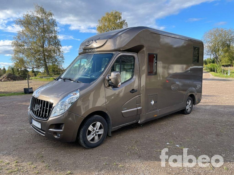Opel STX Movano - Horse truck: picture 1 Opel STX Movano - Horse truck: picture 1