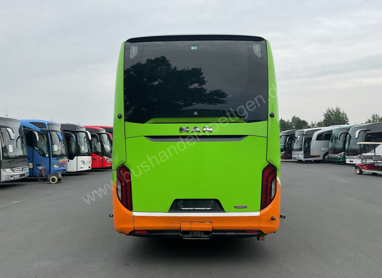 Coach MAN R 08 Lion ´s Coach L: picture 10
