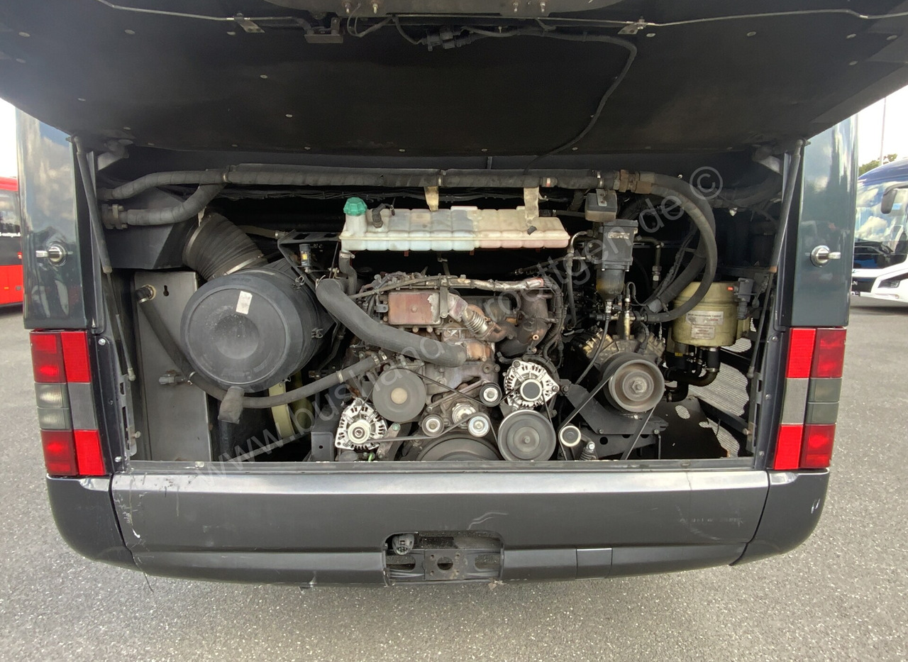 Coach MAN R09 Lions Couch C: picture 9 Coach MAN R09 Lions Couch C: picture 9