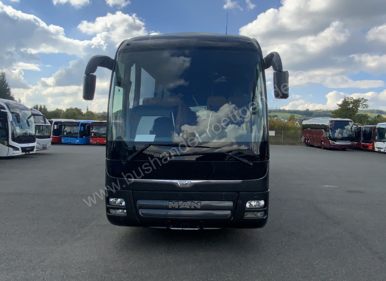 Coach MAN R09 Lions Couch C: picture 7 Coach MAN R09 Lions Couch C: picture 7