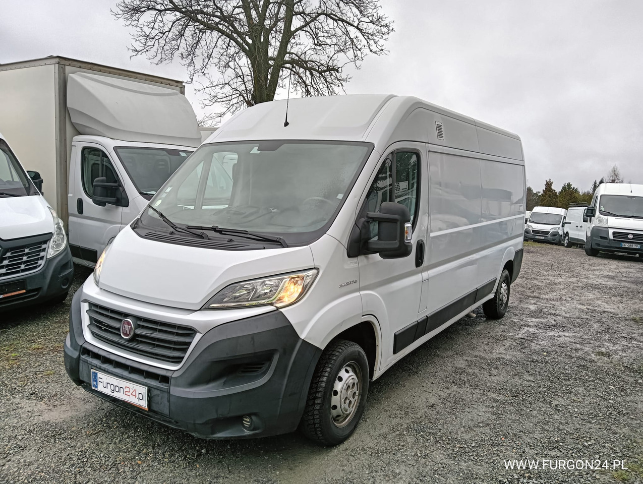 FIAT DUCATO FURGON BLASZAK L3H2 NR 819 - Small van: picture 1 FIAT DUCATO FURGON BLASZAK L3H2 NR 819 - Small van: picture 1