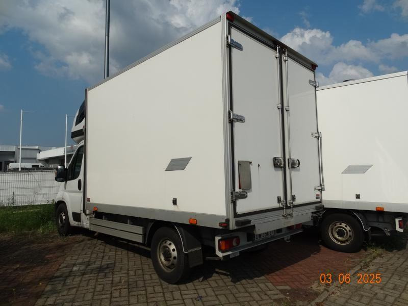 FIAT DUCATO CHŁODNIA/IZOTERMA - Refrigerated van: picture 3 FIAT DUCATO CHŁODNIA/IZOTERMA - Refrigerated van: picture 3