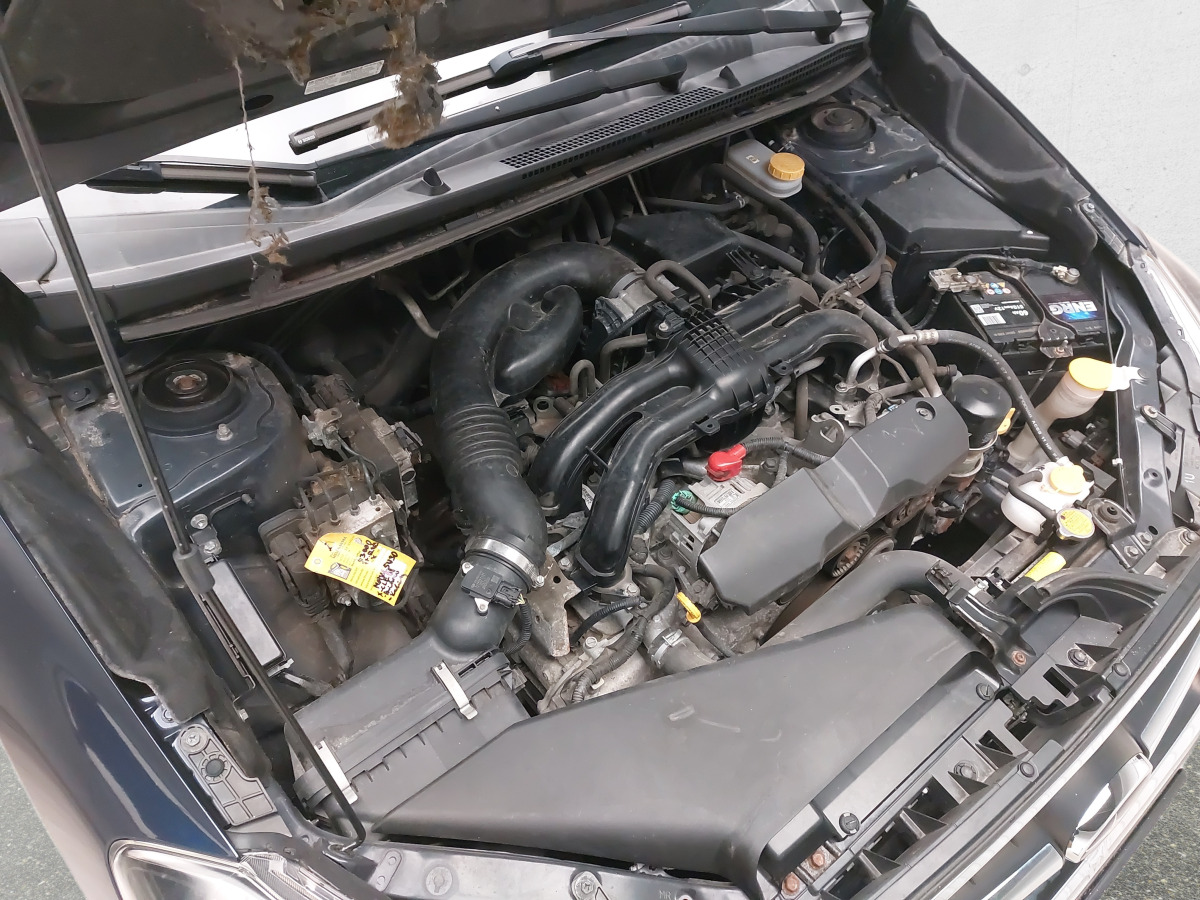 Hatchback SUBARU IMPREZA HATCHBACK: picture 11