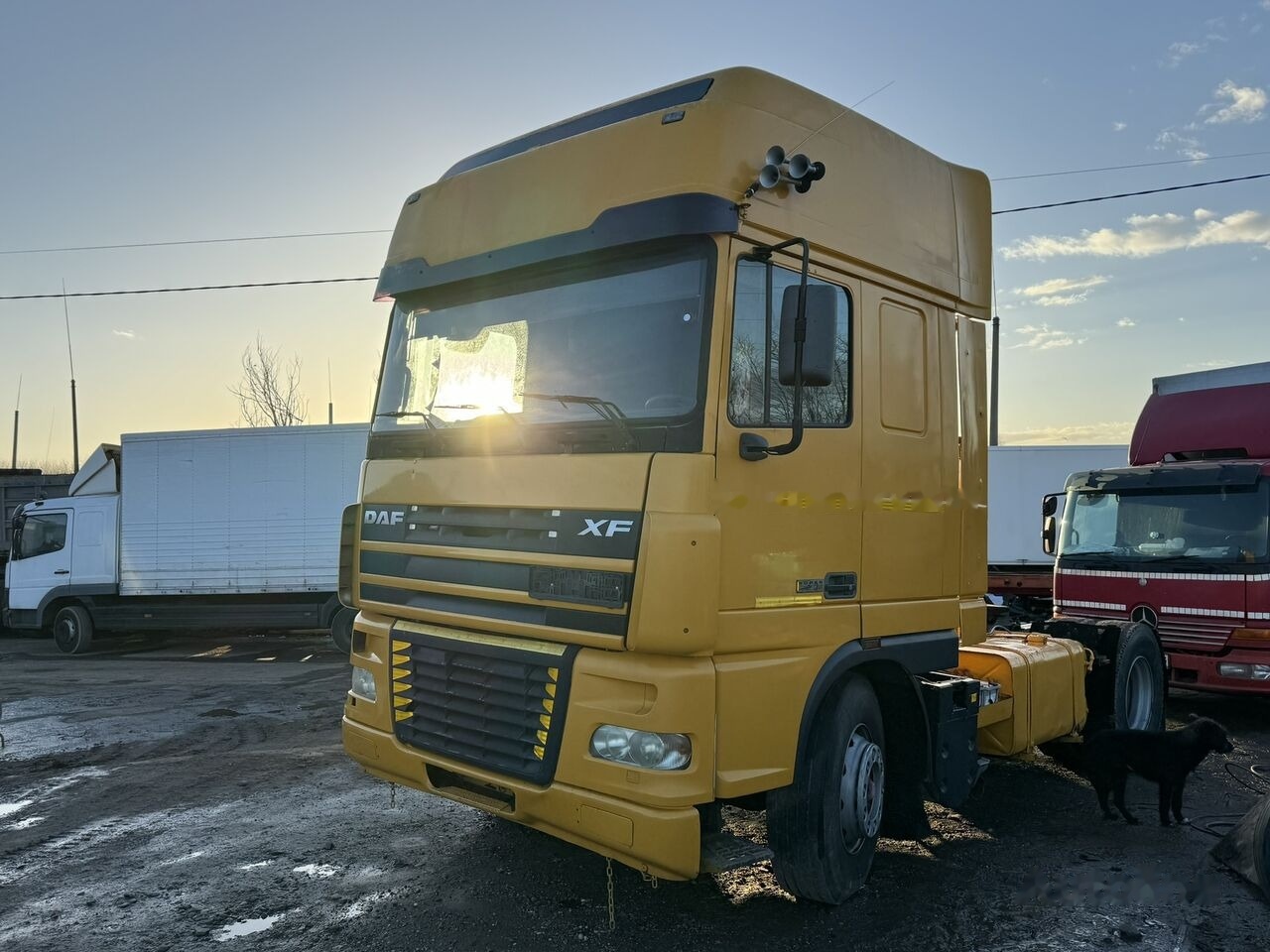 Tractor unit DAF XF95 430 ATI RETARDER EXPORT: picture 11