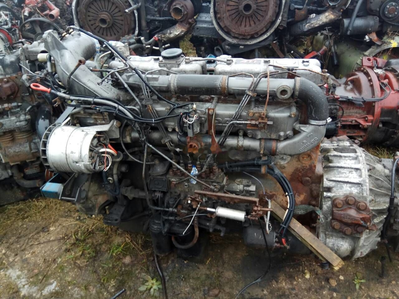 DAF ATI WS268 DAF ATI DAF 85 95 - Engine for Truck: picture 1 DAF ATI WS268 DAF ATI DAF 85 95 - Engine for Truck: picture 1