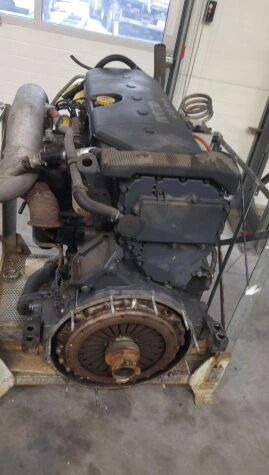 IVECO F3AE3681A IVECO STRALIS truck - Engine for Truck: picture 1 IVECO F3AE3681A IVECO STRALIS truck - Engine for Truck: picture 1