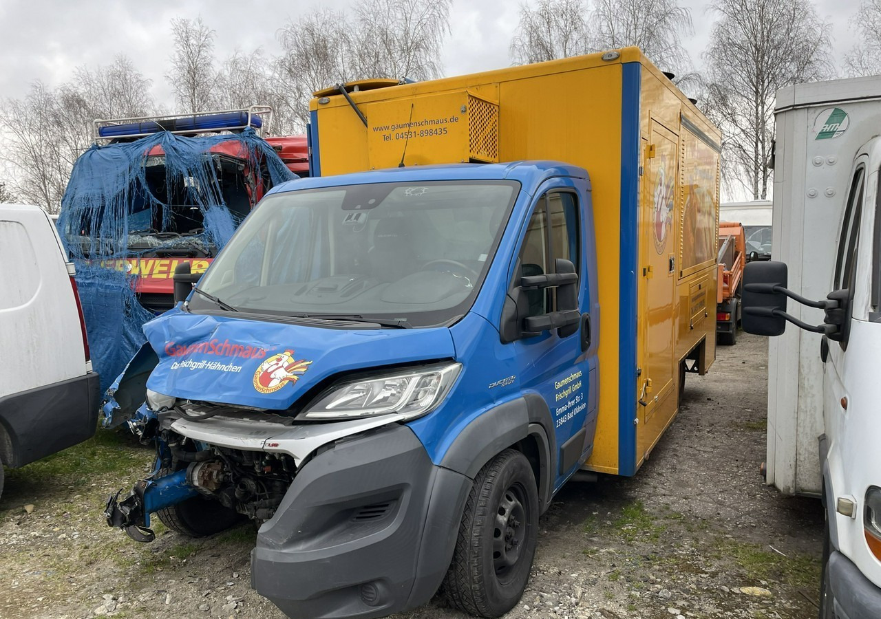 Fiat Ducato Ducato Autogrill Autosklep Foodtruck food truck Gastronomiczny 2018 - Vending truck: picture 2 Fiat Ducato Ducato Autogrill Autosklep Foodtruck food truck Gastronomiczny 2018 - Vending truck: picture 2
