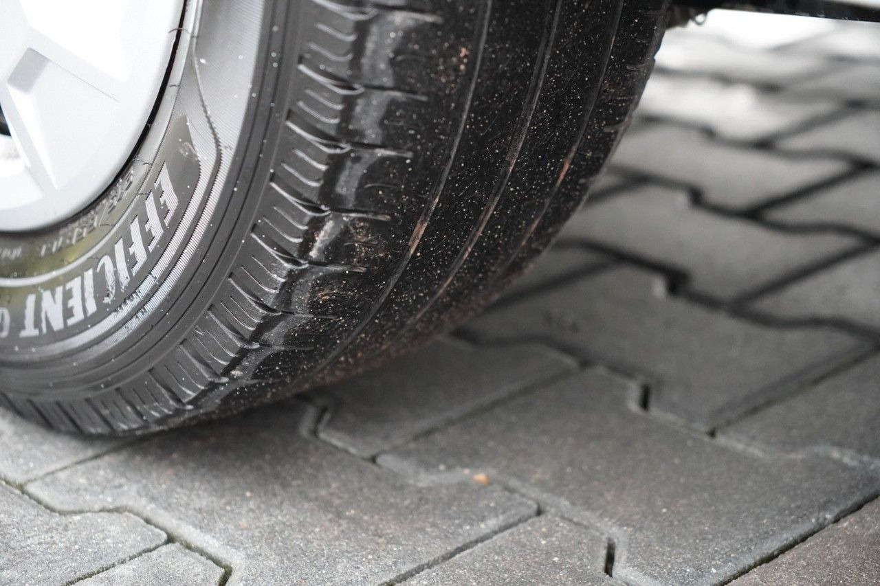 Passenger van Renault TRAFIC III / BUS / 9 MIEJSC / PIERWSZY WŁAŚCICIE: picture 19