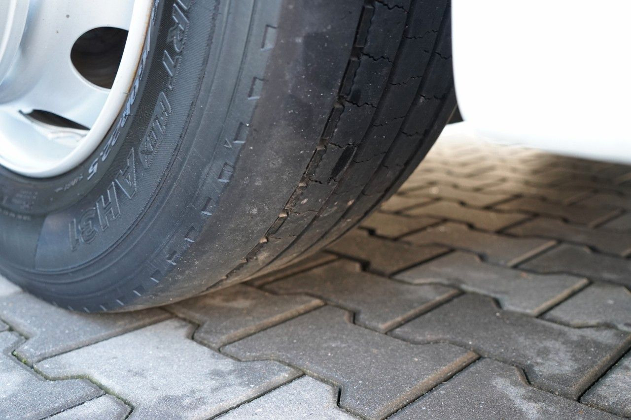 Leasing of  MAN TGX 18.440 / XLX / MEGA / MANUAL / LOW DECK MAN TGX 18.440 / XLX / MEGA / MANUAL / LOW DECK: picture 18