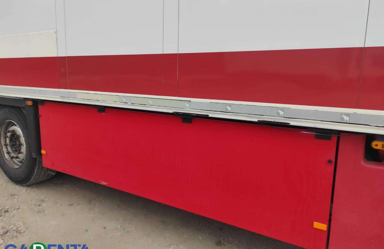 Refrigerator semi-trailer Schmitz SCB S3B: picture 8