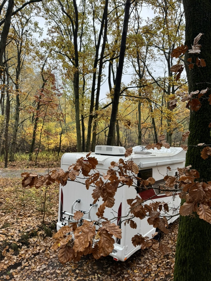 Alcove motorhome Rimor Seal 695: picture 11