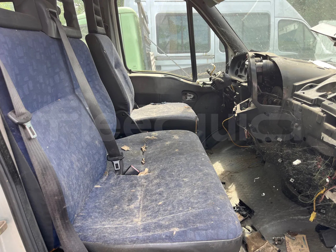 Minibus, Passenger van Iveco Daily: picture 13