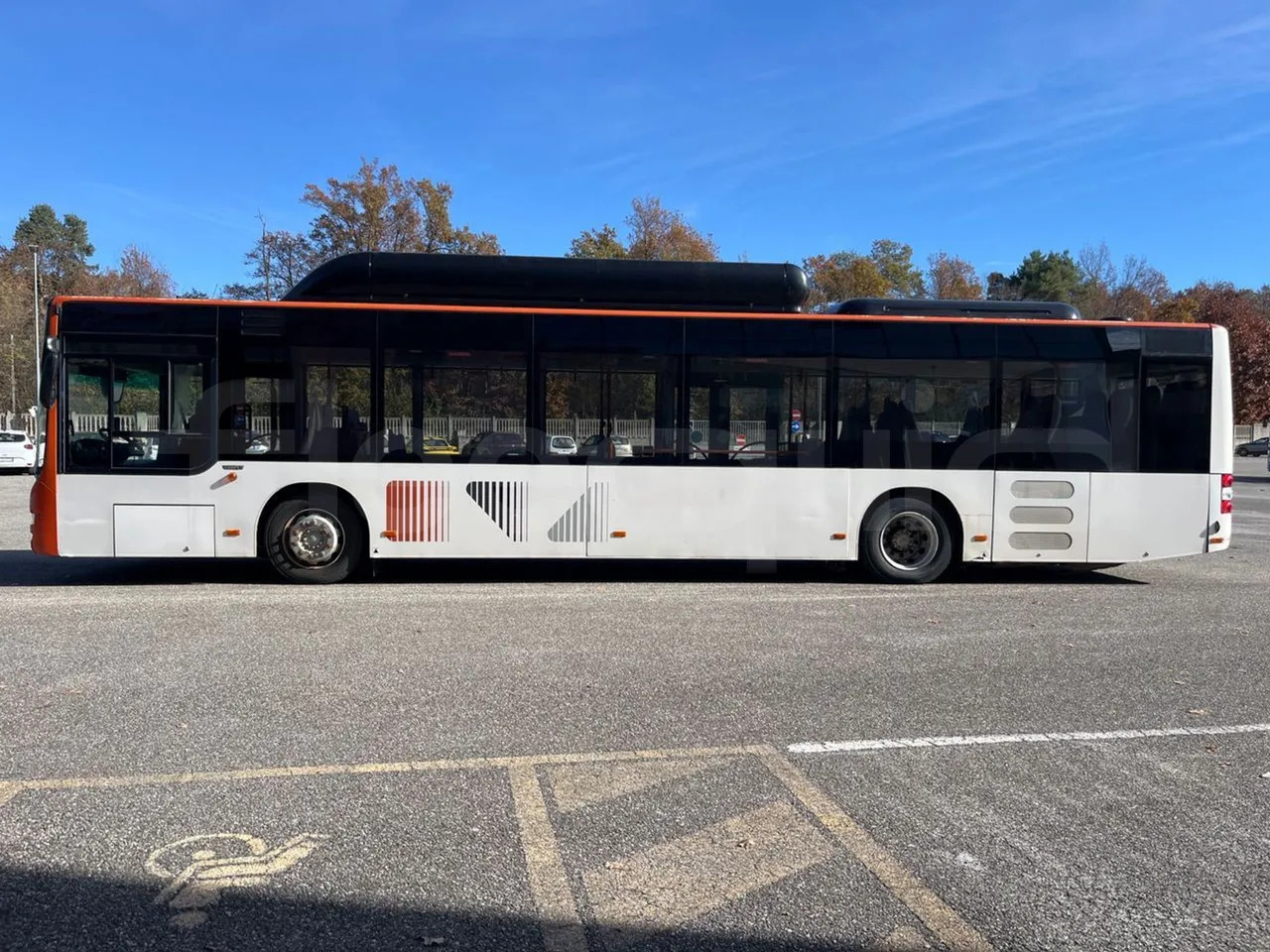 Leasing of  Man Lion's City Man Lion's City: picture 6