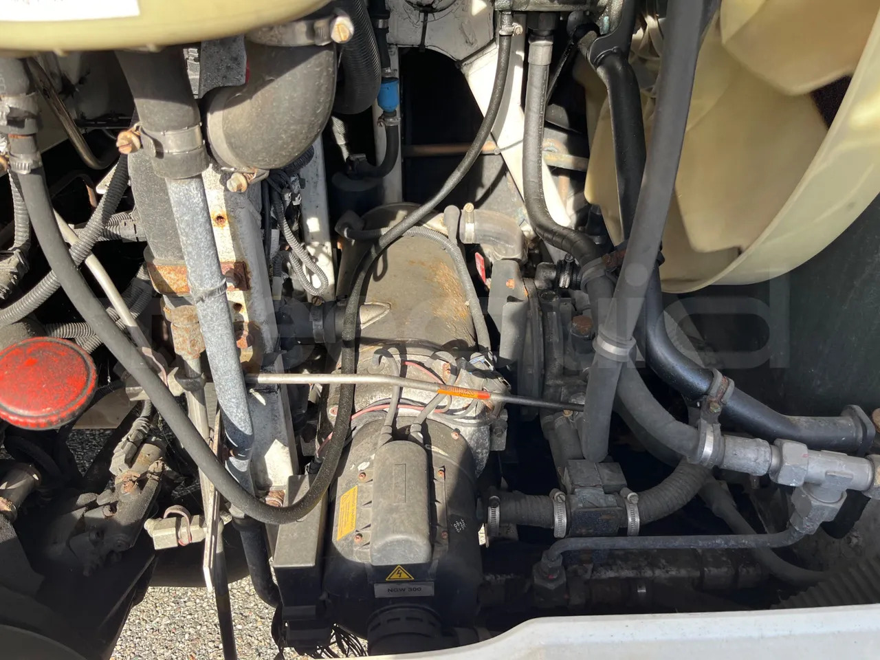 Leasing of  Man Lion's City Man Lion's City: picture 19