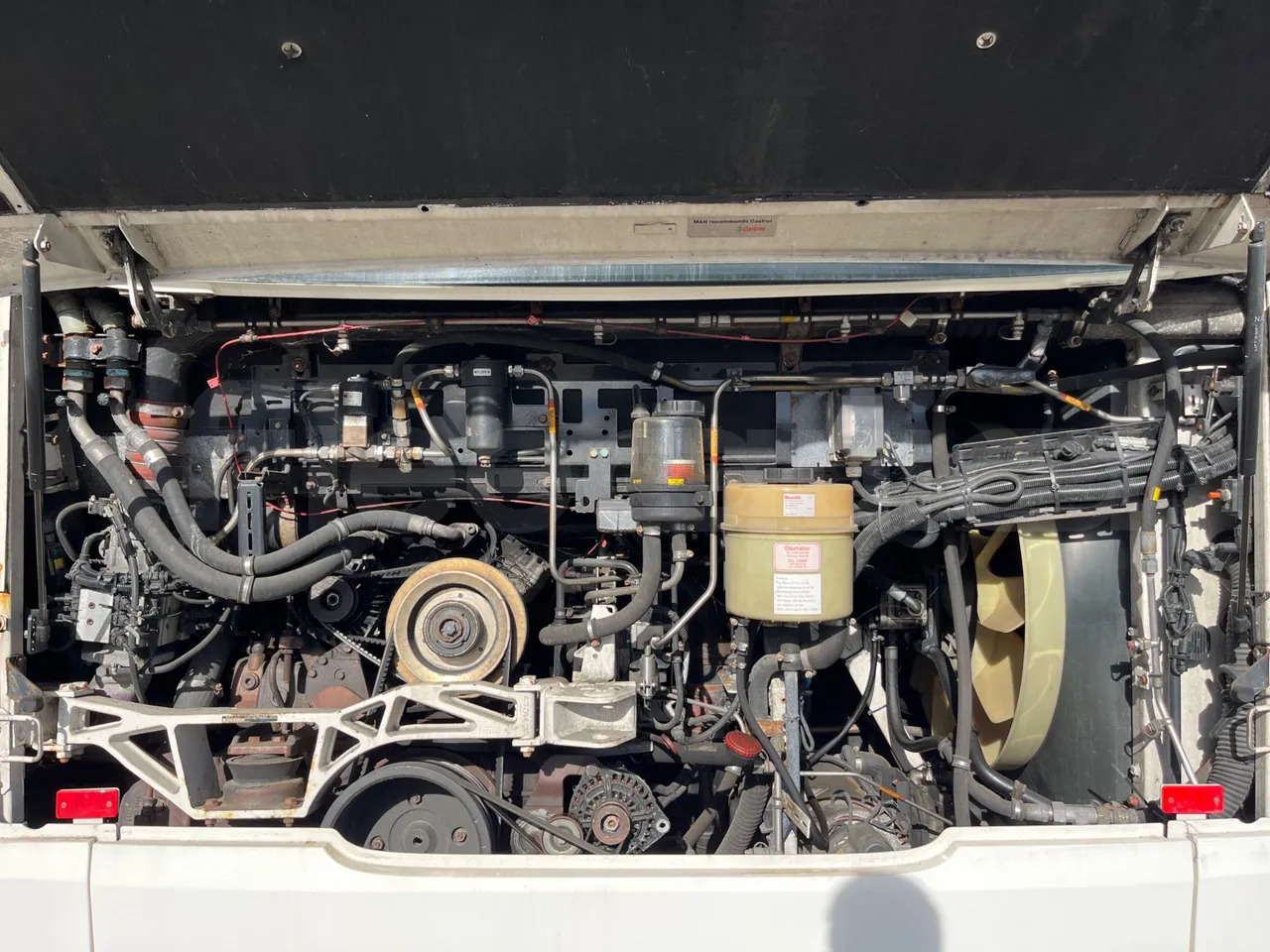 Leasing of  Man Lion's City Man Lion's City: picture 17