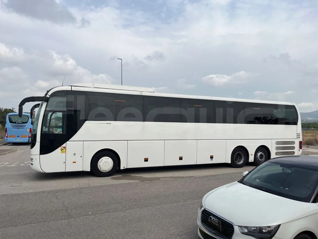 Coach Man Lion's Coach: picture 6