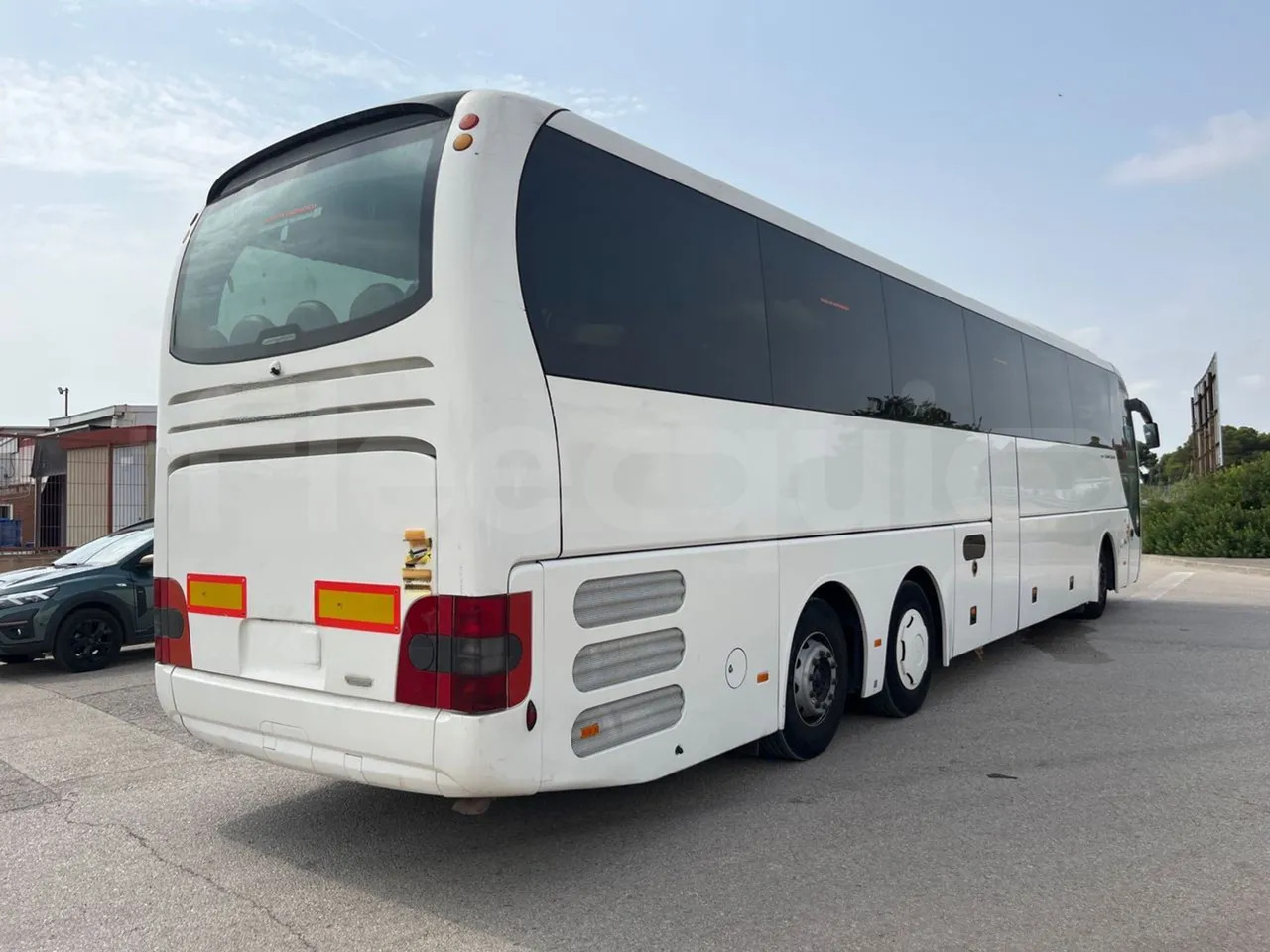 Coach Man Lion's Coach: picture 11