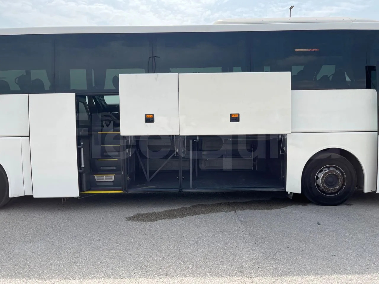 Coach Man Lion's Coach: picture 7