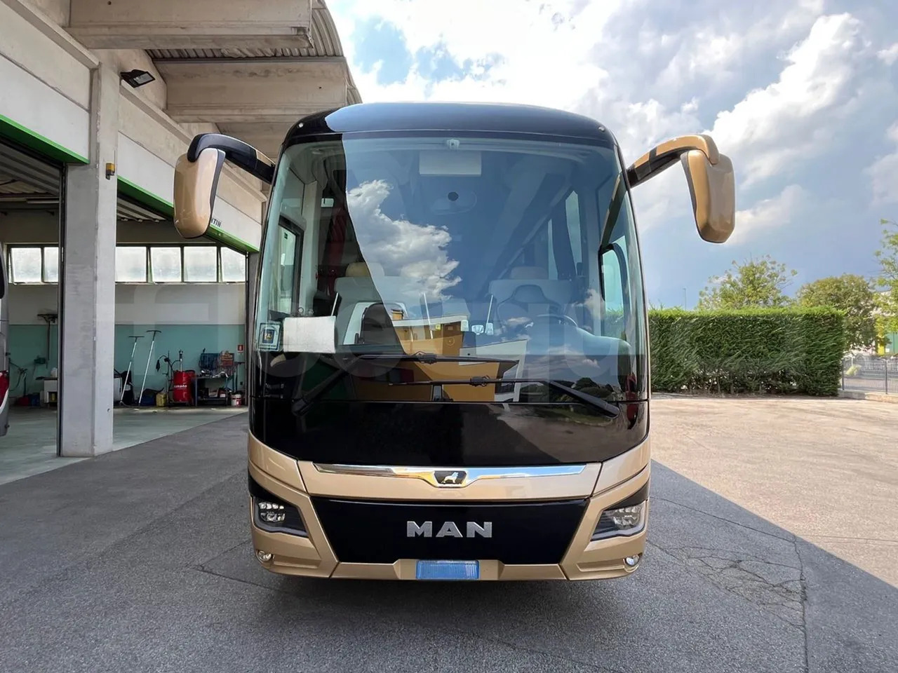Man Lion's Coach - Coach: picture 2 Man Lion's Coach - Coach: picture 2