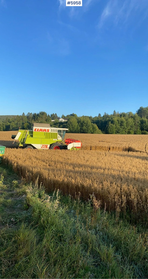 1993 Claas Commandor 228 CS - Combine harvester: picture 4 1993 Claas Commandor 228 CS - Combine harvester: picture 4