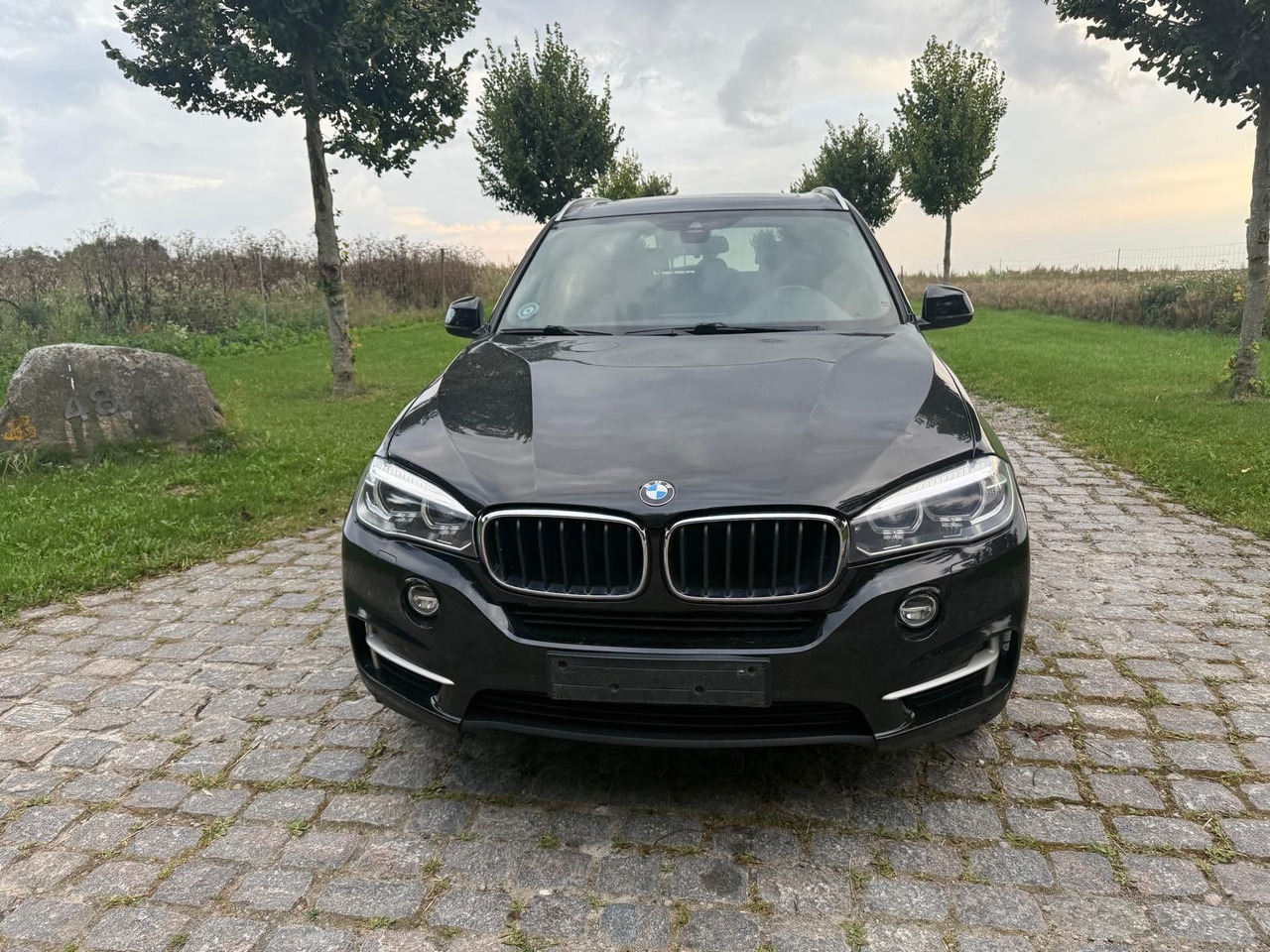 BMW X5 Baureihe X5 xDrive 30 d *21 000€ netto - SUV: picture 5 BMW X5 Baureihe X5 xDrive 30 d *21 000€ netto - SUV: picture 5
