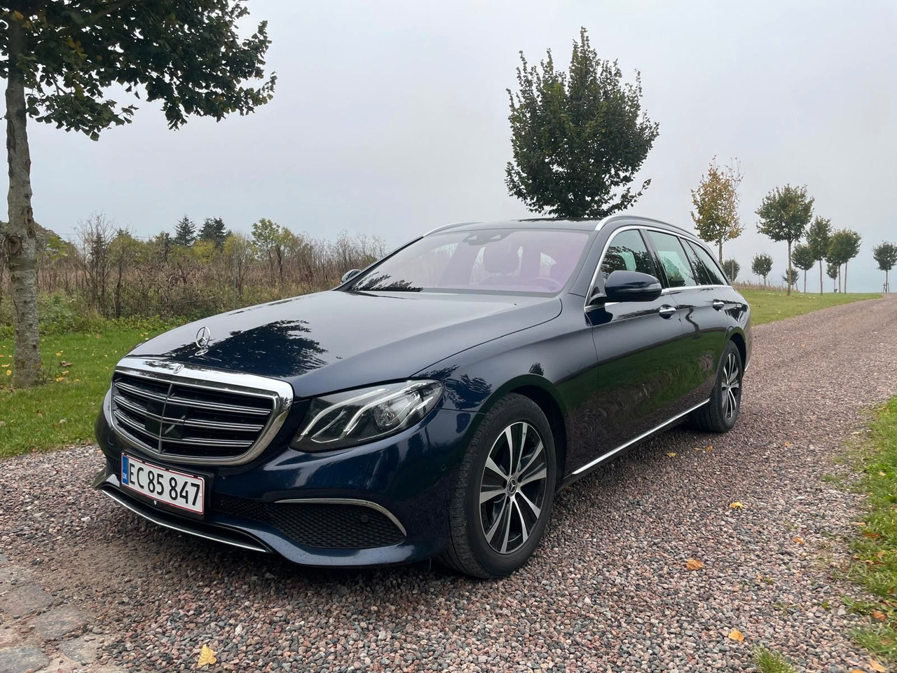 Mercedes-Benz E 220 T-Modell E 220 d *4Matic* - Station wagon: picture 1 Mercedes-Benz E 220 T-Modell E 220 d *4Matic* - Station wagon: picture 1