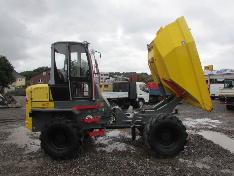 WACKER NEUSON DW 60 Dumper 32.500 EUR - Dumper: picture 5 WACKER NEUSON DW 60 Dumper 32.500 EUR - Dumper: picture 5