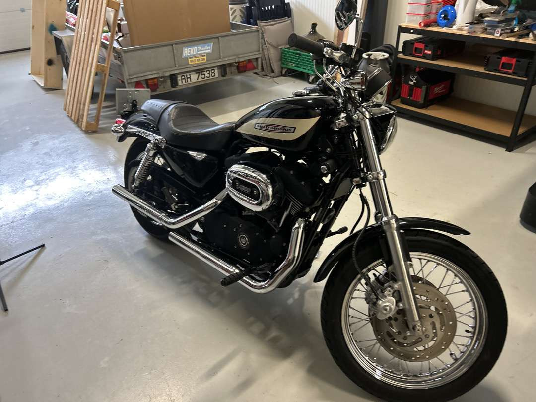 Motorcycle trailer 2006 Harley-Davidson XL Sportster 1200 Roadster: picture 1