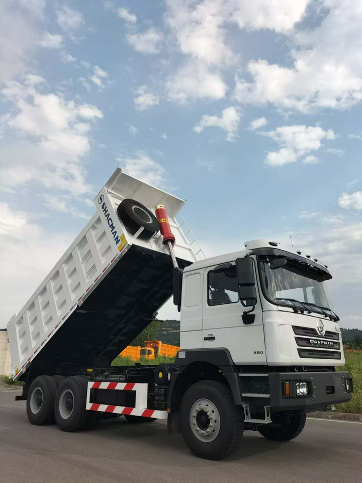 Tipper SHACMAN F3000: picture 7