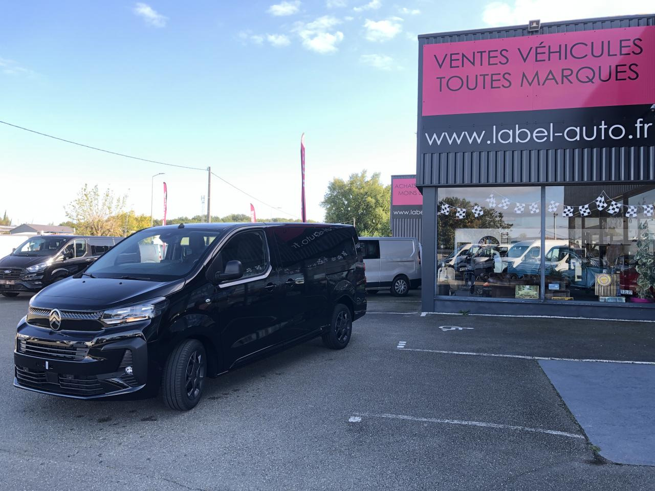 Panel van CITROEN Jumpy XL 2.0 BlueHDi - 180 S&S - BV EAT8  III CABINE APPROFONDIE Fixe PHASE 2 6 PLACES: picture 7