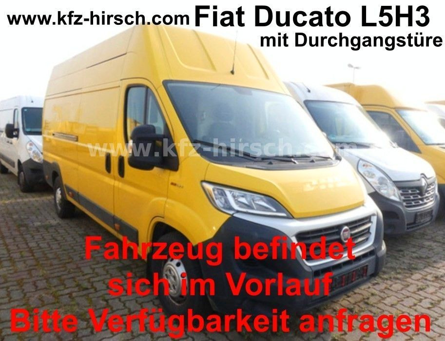 Panel van Fiat Ducato Maxi L5H3 Durchgangstüre Regale HOCHDACH: picture 1