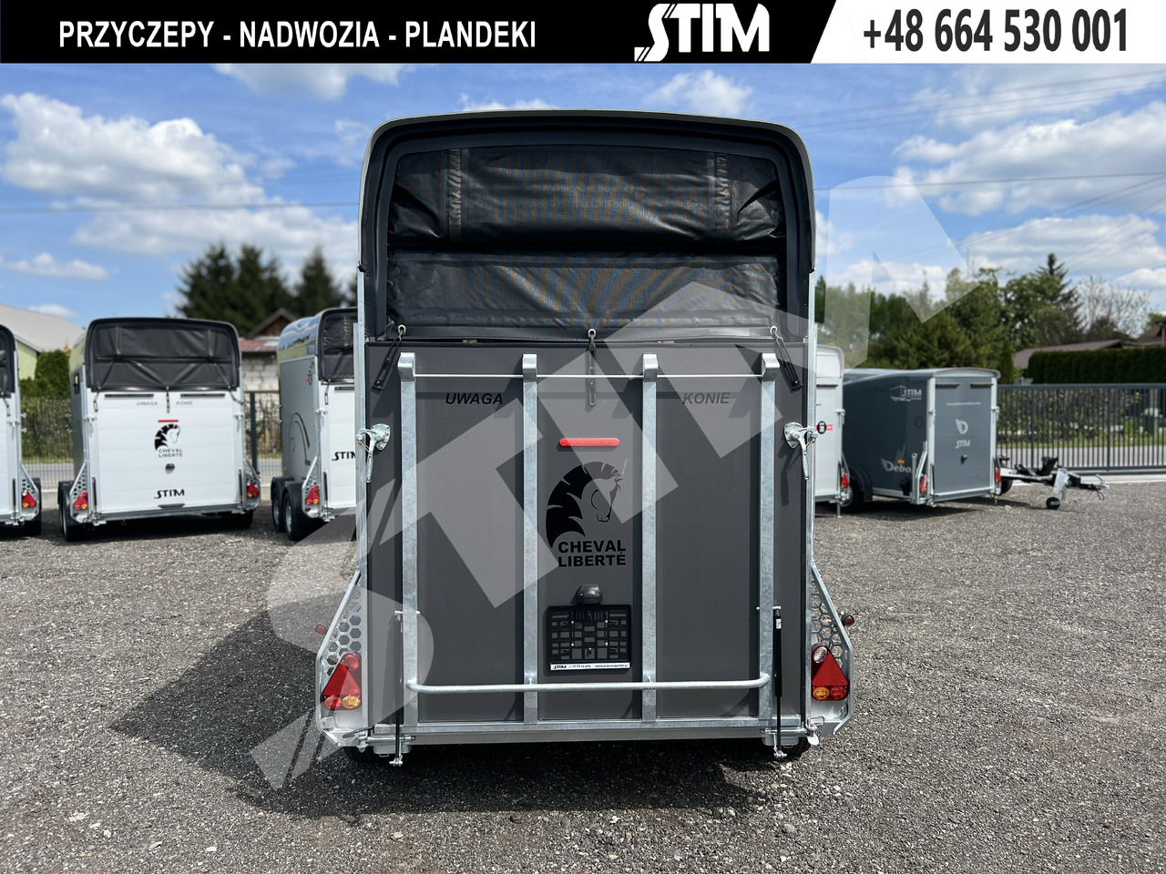 Cheval Liberté GOLD ORIGINS PODŁOGA ALU, BOKI SKLEJKA PPL - Horse trailer: picture 5 Cheval Liberté GOLD ORIGINS PODŁOGA ALU, BOKI SKLEJKA PPL - Horse trailer: picture 5