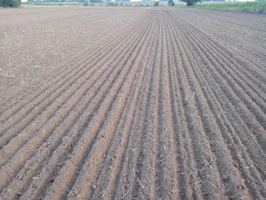 Lemken Karat 9/500 agregat bezorkowy - Soil tillage equipment: picture 2 Lemken Karat 9/500 agregat bezorkowy - Soil tillage equipment: picture 2