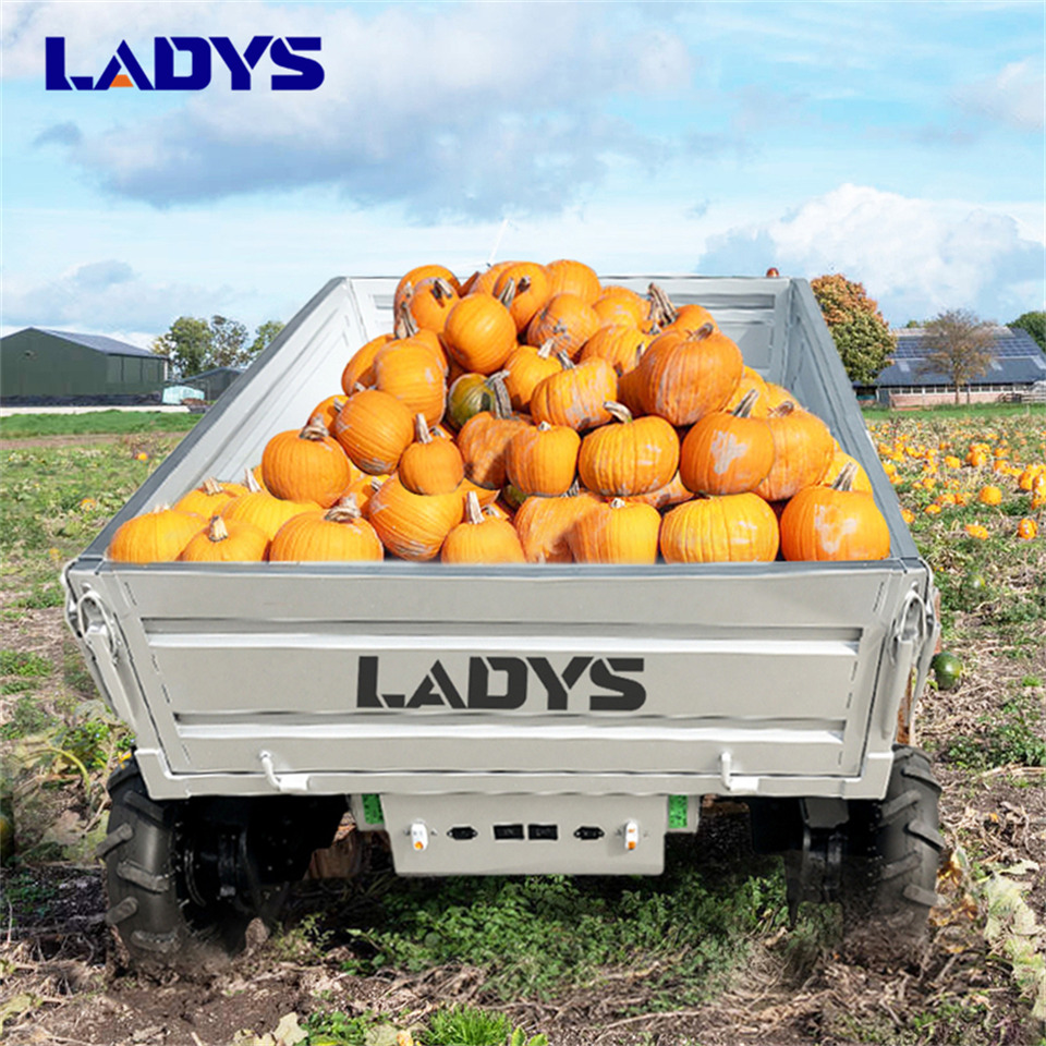 Leasing of LADYS Electric Remote Control Transporter Agricultural Orchard Farm Electric Utv Dump Trailer Material Handling Equipment All Terrain Transport Vehicle LADYS Electric Remote Control Transporter Agricultural Orchard Farm Electric Utv Dump Trailer Material Handling Equipment All Terrain Transport Vehicle: picture 7