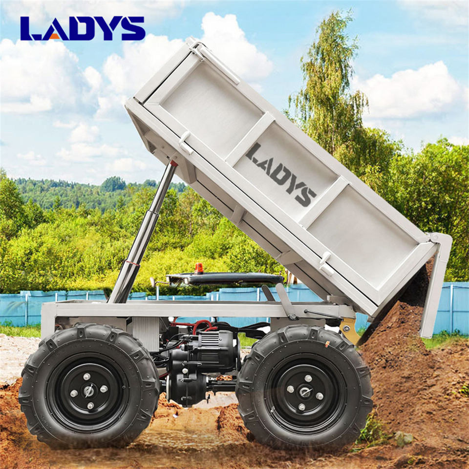 Leasing of LADYS Electric Remote Control Transporter Agricultural Orchard Farm Electric Utv Dump Trailer Material Handling Equipment All Terrain Transport Vehicle LADYS Electric Remote Control Transporter Agricultural Orchard Farm Electric Utv Dump Trailer Material Handling Equipment All Terrain Transport Vehicle: picture 6