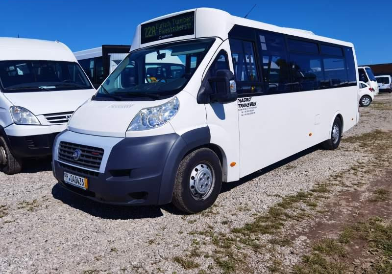 Fiat Ducato miejski, przewóz osób niepełnosprawnych - City bus: picture 1 Fiat Ducato miejski, przewóz osób niepełnosprawnych - City bus: picture 1