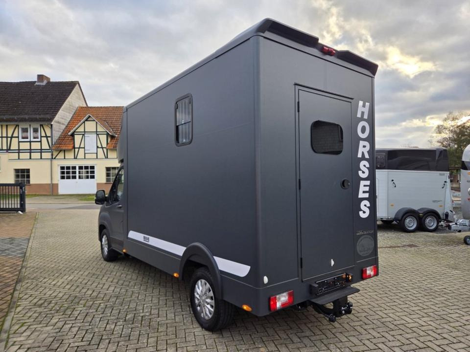 MSG Stablehopper Pferdetransporter Pferdeanhänger Böckmann - Horse truck: picture 4 MSG Stablehopper Pferdetransporter Pferdeanhänger Böckmann - Horse truck: picture 4
