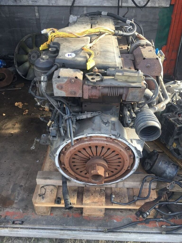 MAN D0836 LFL63 MAN TGL, TGM, M2000, L2000 - Engine for Truck: picture 1 MAN D0836 LFL63 MAN TGL, TGM, M2000, L2000 - Engine for Truck: picture 1