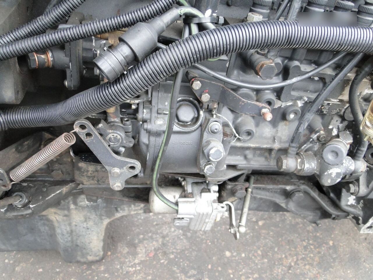 MAN D2865 LF05 MAN F90, F2000 - Engine for Truck: picture 4 MAN D2865 LF05 MAN F90, F2000 - Engine for Truck: picture 4